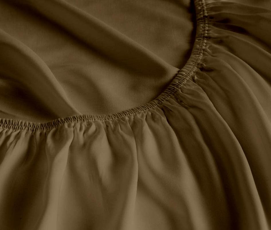 Taupe Solid