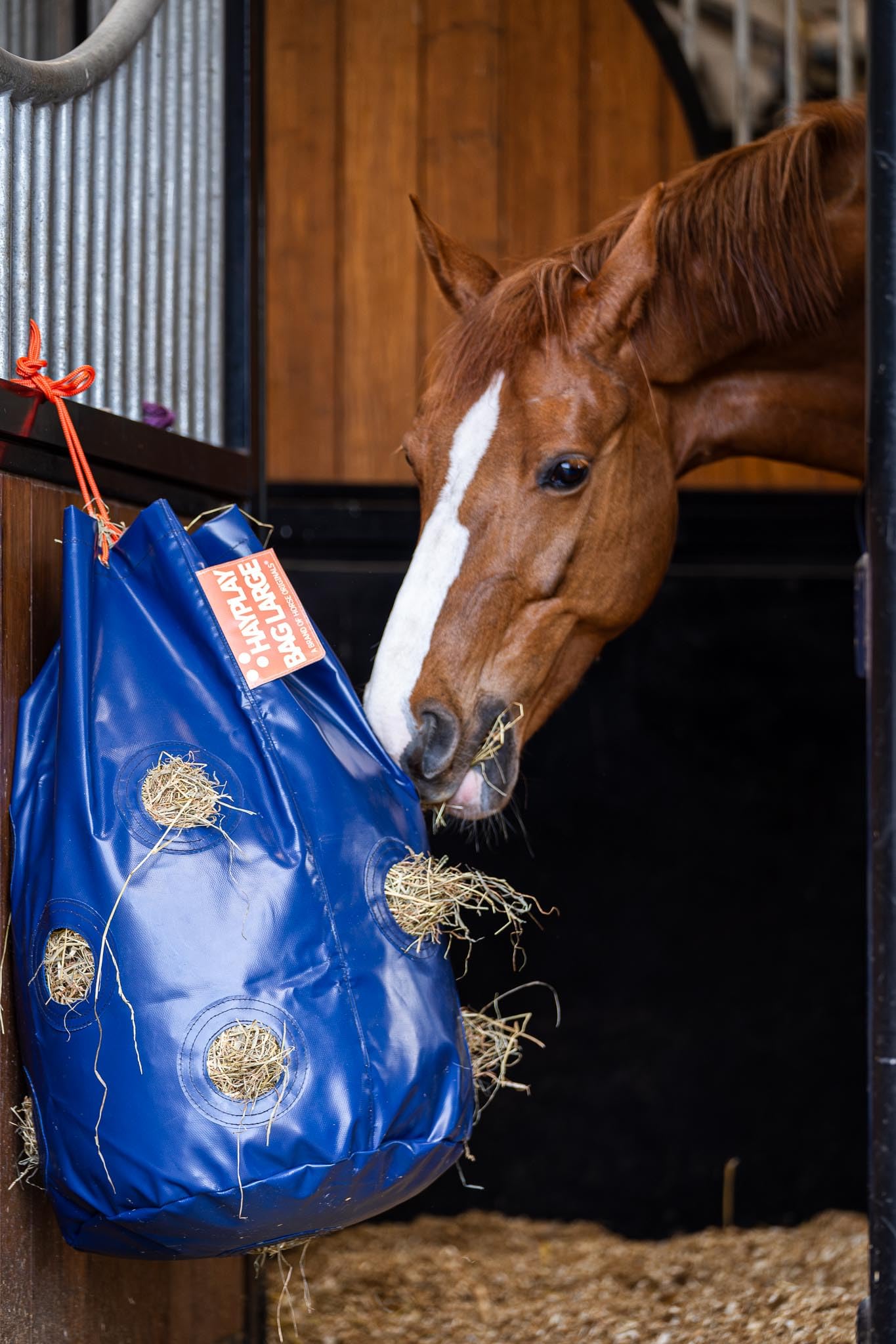 HayPlay Slow Feed Tie Bag - Durable Hay Net Alternative for Horses - Perfect for Stall, Trailer, Track or Paddock Use - Reduce Waste & Promote Healthy Eating Habits