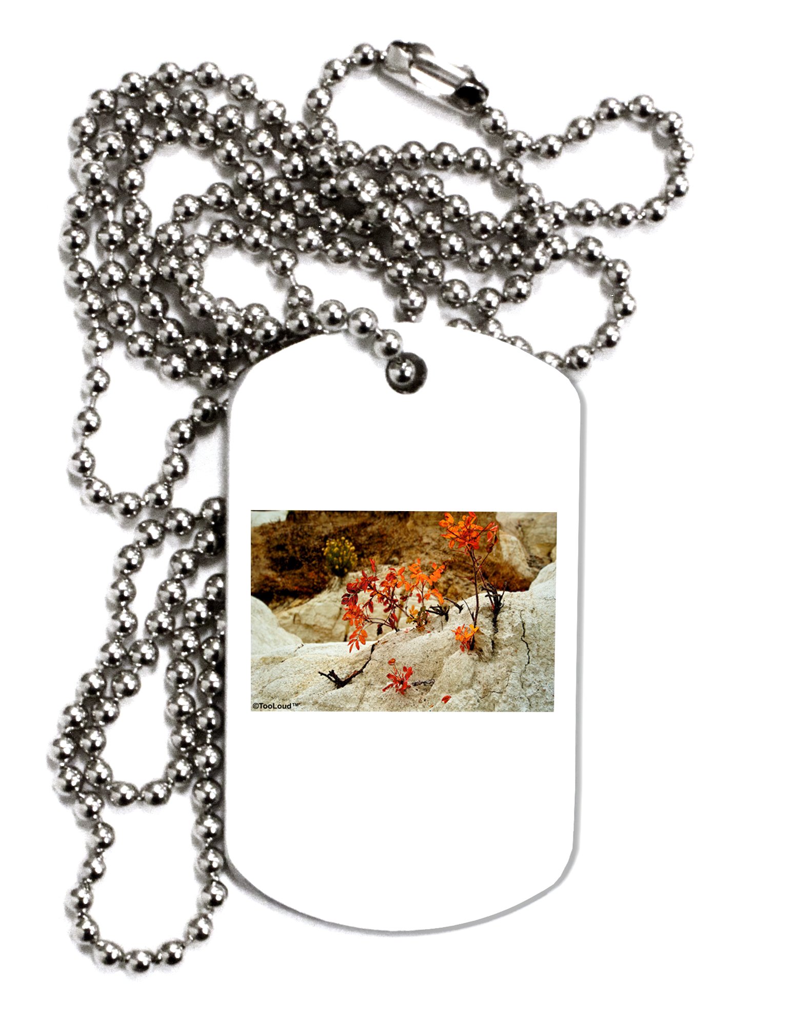TOOLOUD CO Painted Military Dog Tag Necklace for Men & Women - Stylish Personalized ID Chain for Everyday Wear, Gifts & Outdoor Adventures