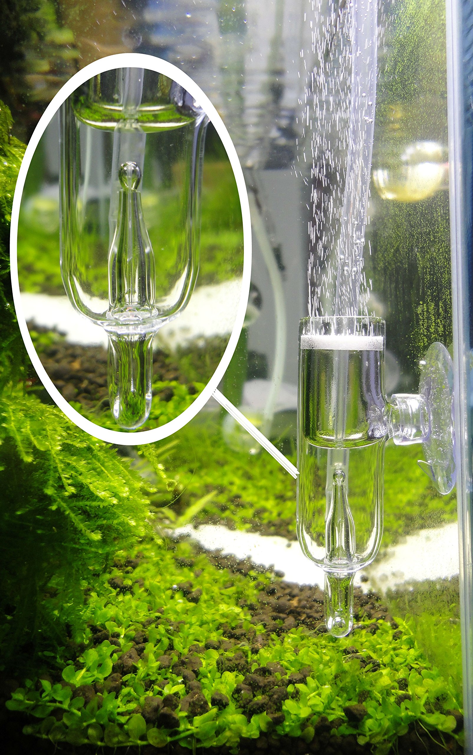 Premium Pollen Glass CO2 Diffuser with Bubble Counter - High Efficiency Aquarium Plant CO2 System for Planted Tanks & Hydroponics | Perfect for Freshwater Fish Tanks, Aquatic Gardens & Indoor Plant Growth