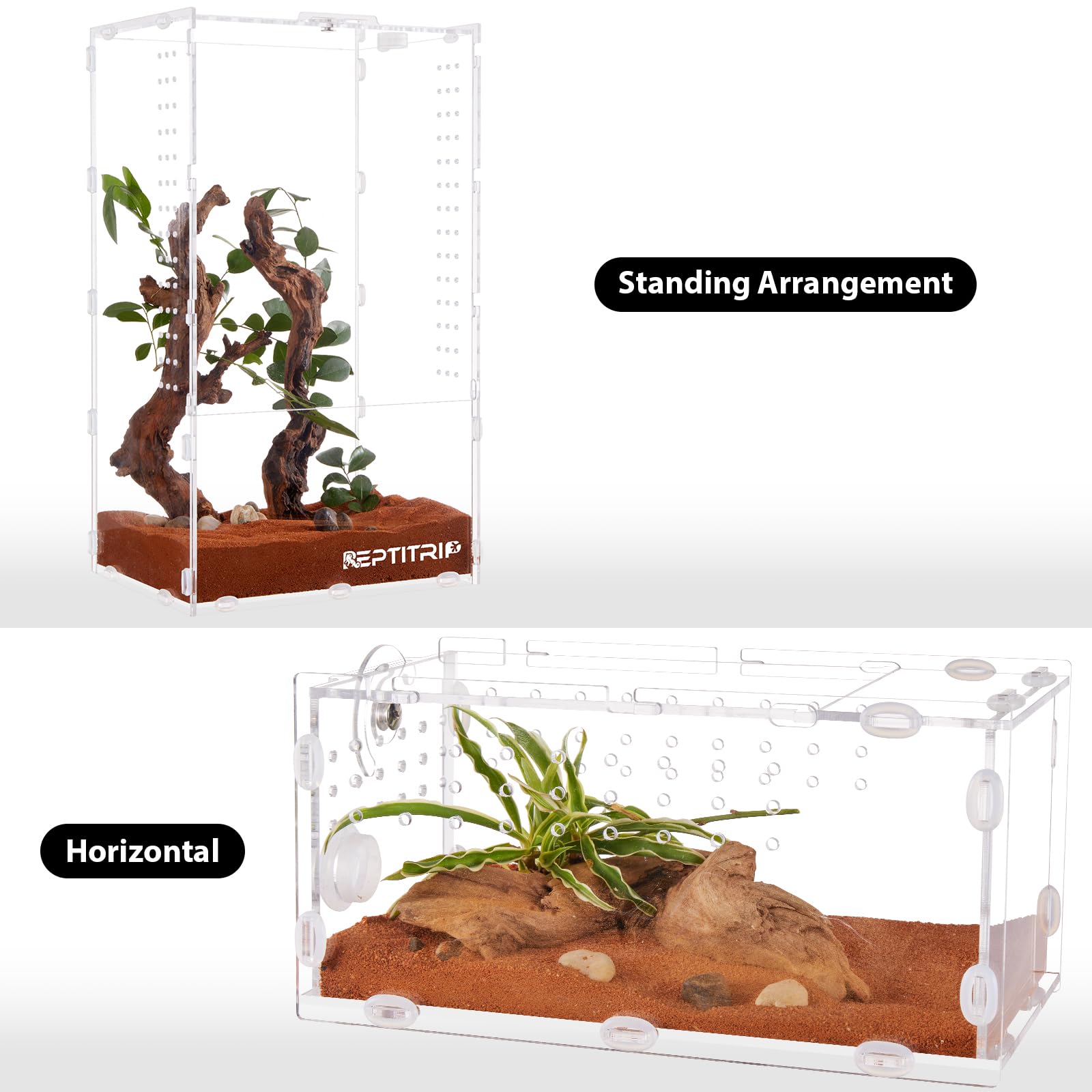 Premium 4x4x8 Acrylic Spider Terrarium - Jumping Spider & Tarantula Enclosure for Arthropods & Insects | Perfect for Pet Spiders, Breeding, and Educational Display