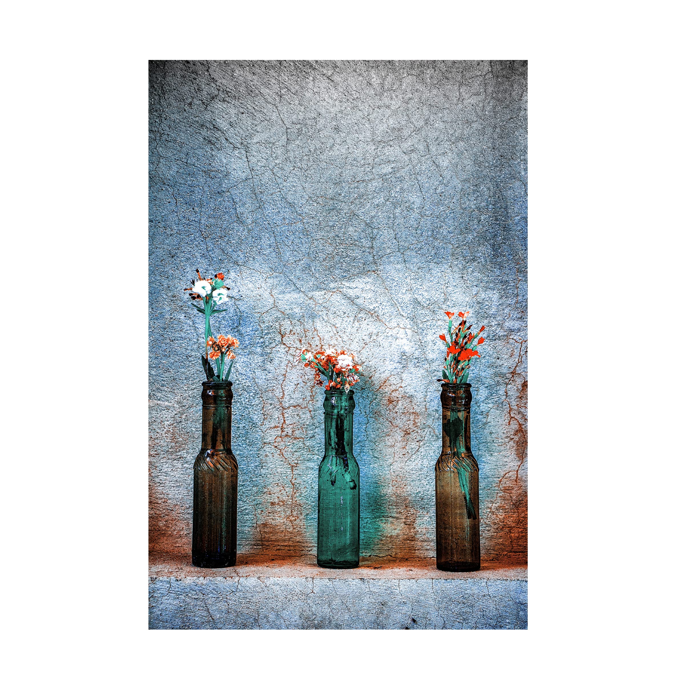 Trademark Fine Art 'Lovely Little Flowers' Canvas Wall Art Print by Afshin Saeidinia - Floral Home Decor for Living Room, Bedroom & Office