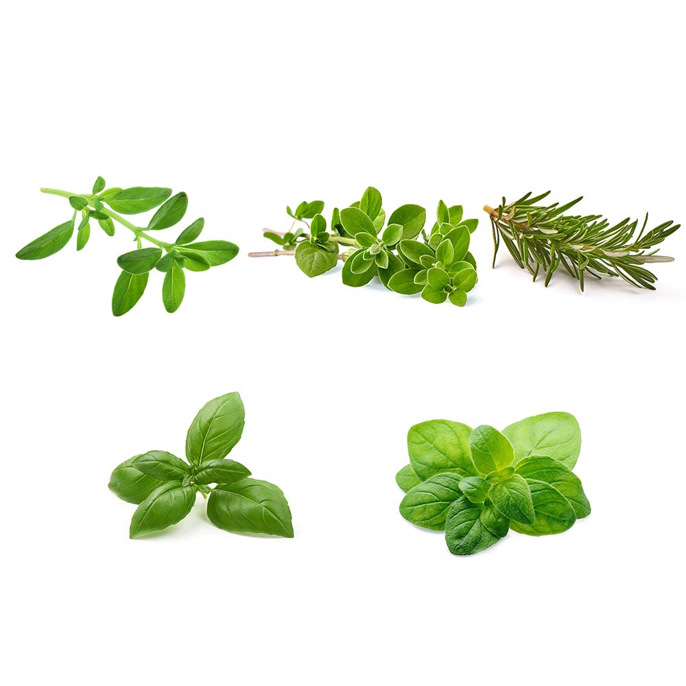 Organic Heirloom Herb Garden Seeds Collection - 5 Culinary Herb Seeds Pack for Planting (Basil, Marjoram, Oregano, Rosemary, Thyme) | Perfect for Indoor Herb Gardens, Kitchen Windowsills & Fresh Cooking