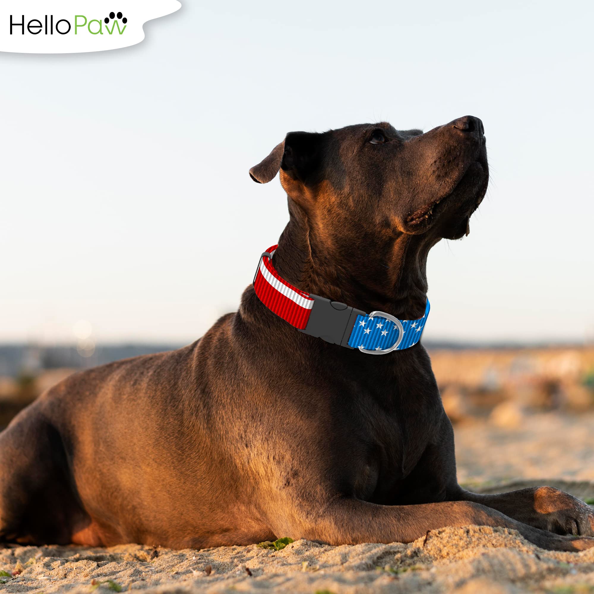 American Flag Dog Collar - Durable Nylon Pet Collar with Metal D-Ring - Patriotic USA Design for Small, Medium & Large Dogs - Perfect for 4th of July, Memorial Day & Patriotic Events