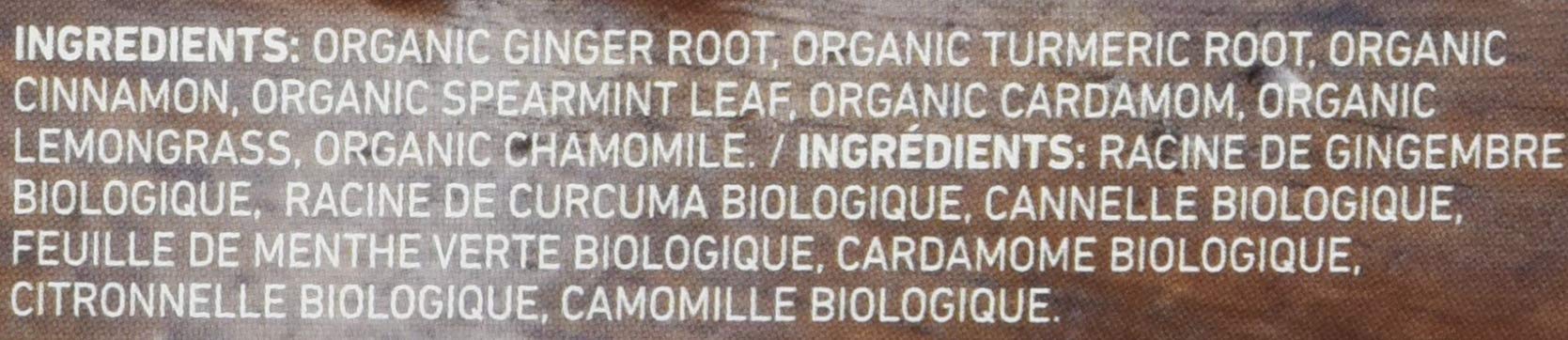 Organic Turmeric Ginger Tea Bags - MIGHTY LEAF Herbal Tea (12 Count) | Immune Support & Digestive Aid | Perfect for Morning Boost or Afternoon Relaxation