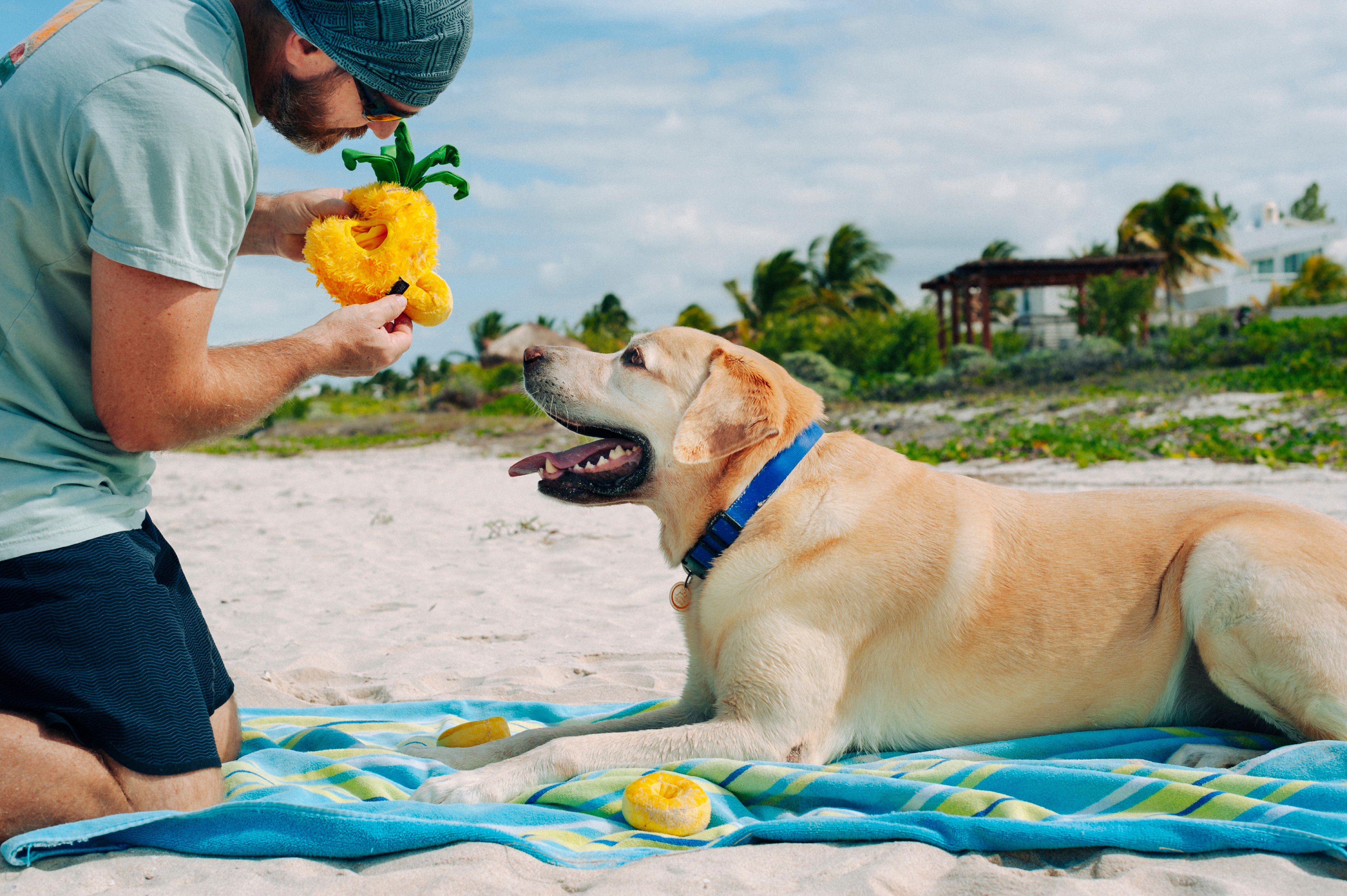 Tropical Paradise™ Dog Plush Toy - La Piña Chew Toy for Dogs | Soft & Durable Pet P.L.A.Y. Puppy Toy | Perfect for Playtime, Training & Cuddling