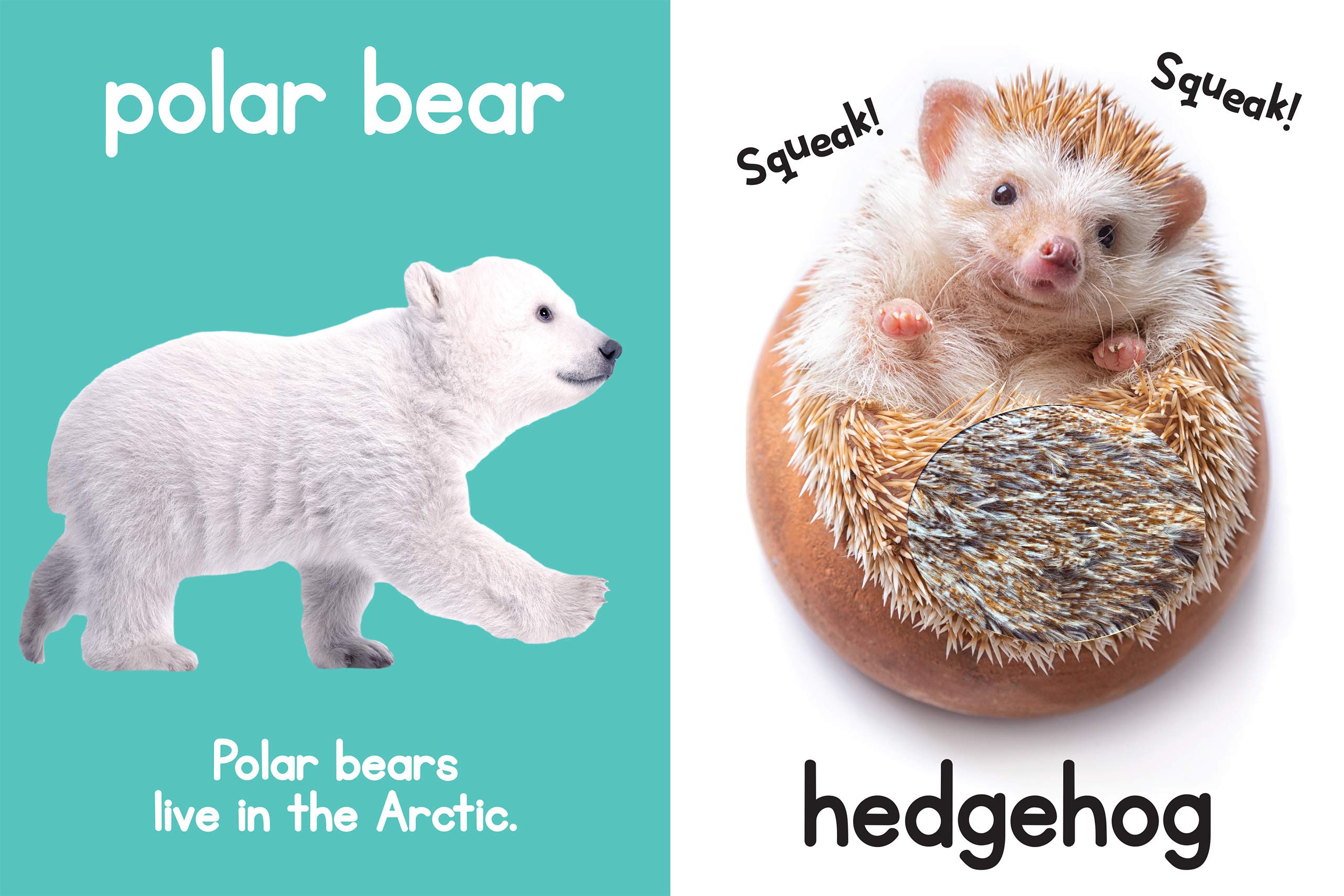 Adorable Animals Touch and Feel Sensory Board Book for Toddlers - Interactive Early Learning Book with Textures for Baby Development - Perfect for Bedtime Stories & Sensory Play