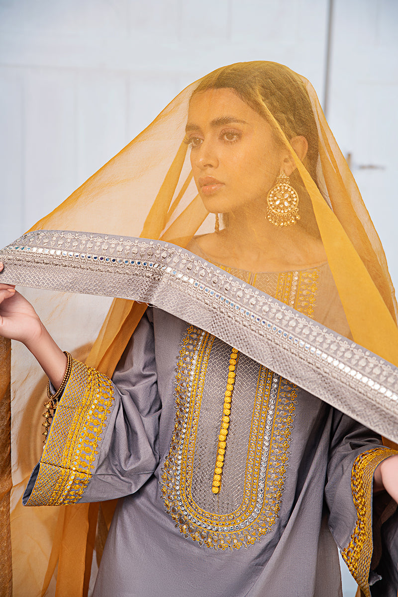 Elegant Amber Gray 2-Piece Set (Shirt & Dupatta) for Women - Perfect for Weddings, Parties & Festive Occasions
