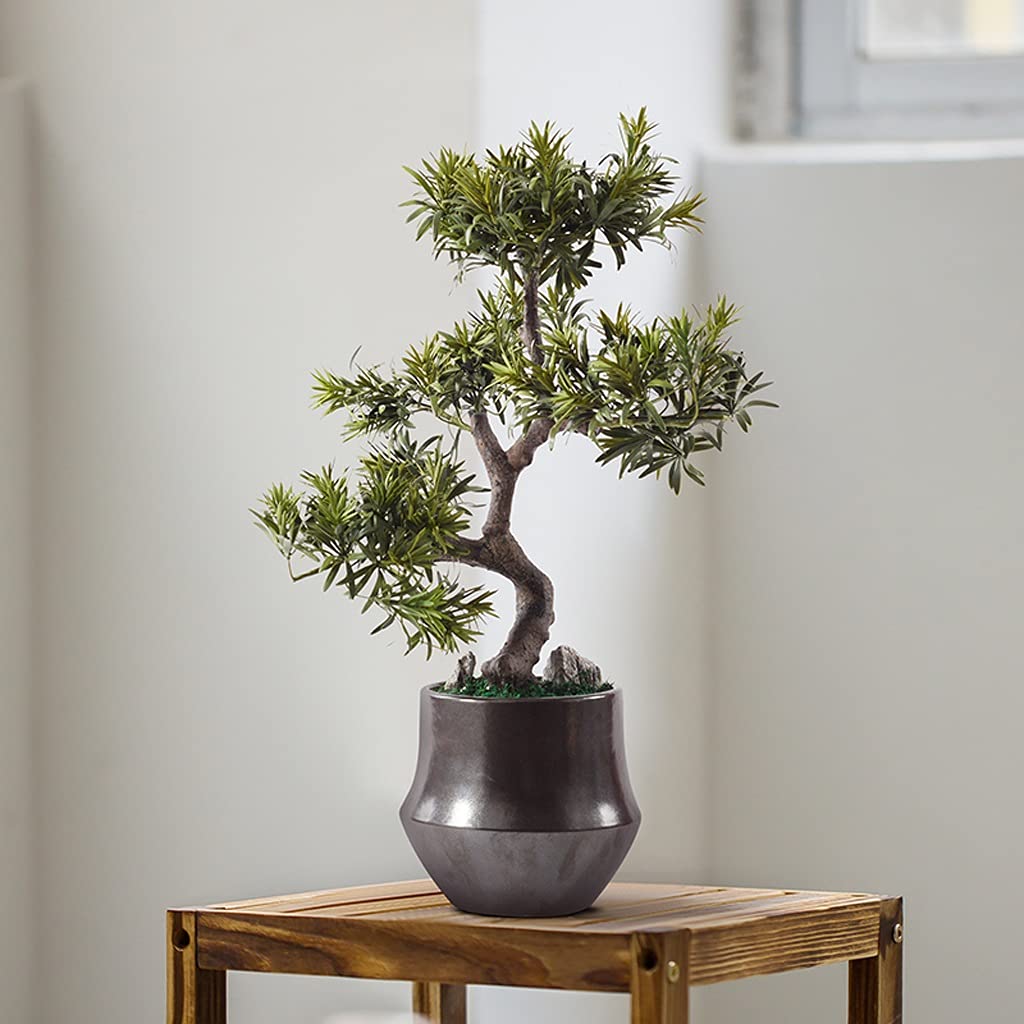 TOMYEUS Artificial Bonsai Tree - Fake Potted Plant in Ceramic Flowerpot, Realistic Tabletop Greenery for Home & Office Decor - Perfect for Living Room, Study, Desk & Shelf Decoration