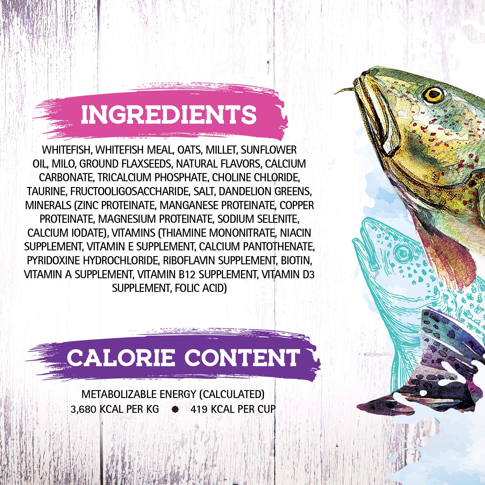 Inception® Dry Cat Food Fish Recipe – Grain-Free, High-Protein, Legume-Free Cat Food for Adult Cats – Complete & Balanced Nutrition – 4 lb Bag – Perfect for Indoor & Outdoor Cats