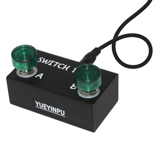 Latch Dual Switch
