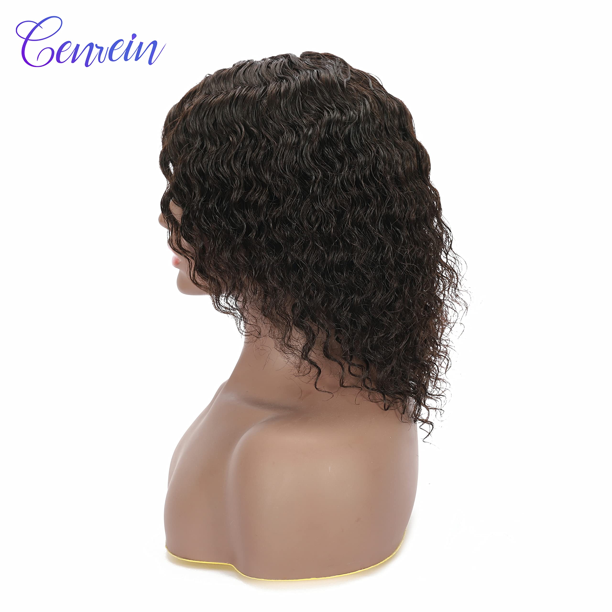 Brazilian Virgin Human Hair Wigs for Black Women - 180% Density Deep Curly Glueless Lace Front Wigs (12 Inch, #2 Dark Brown) | Perfect for Daily Wear, Cosplay & Special Occasions