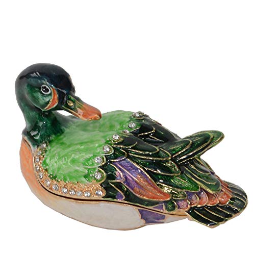 Mallard Duck