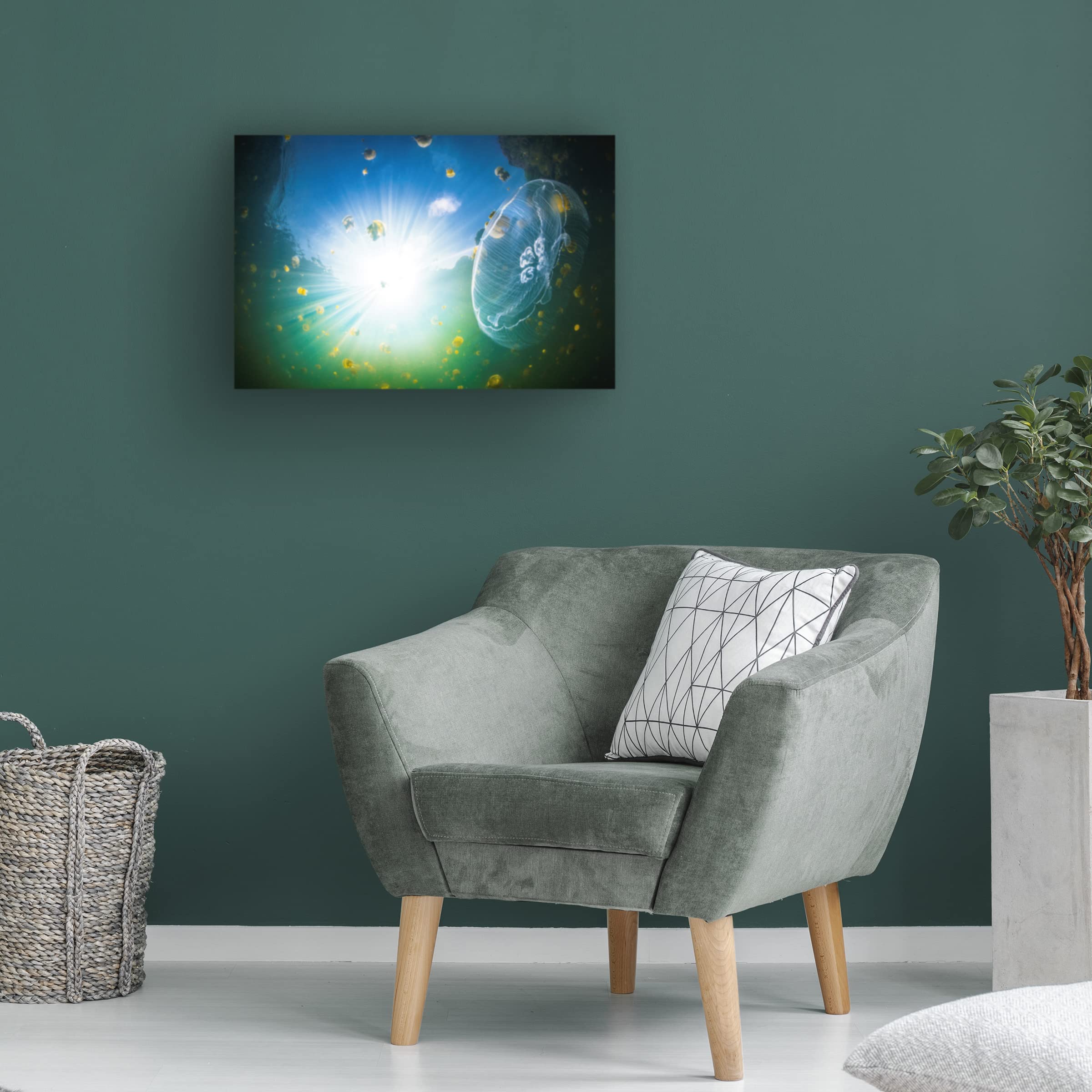 Trademark Fine Art 'Medusa Aurelia' Canvas Wall Art Print by Barathieu Gabriel - Mythological Decor for Living Room, Bedroom & Office