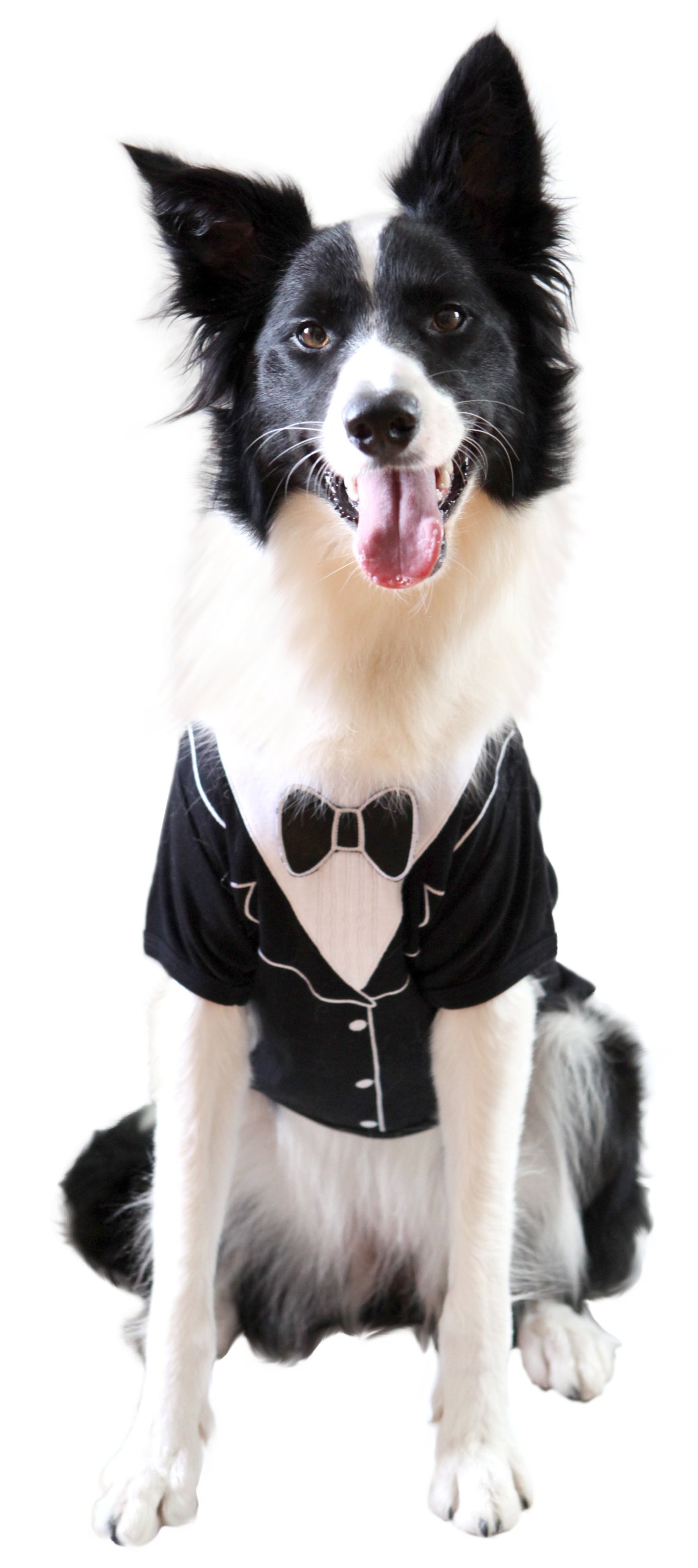 Premium Dog Tuxedo for Medium Dogs - Formal Pet Suit for Weddings, Parties & Special Occasions