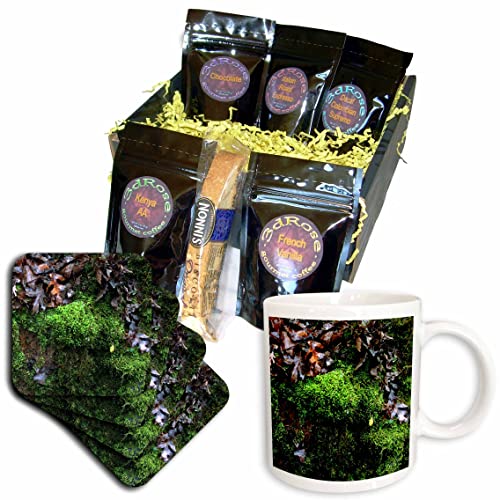 3dRose Macro Photo of Green Moss & Brown Fall Leaves - Coffee Gift Basket Set for Home & Office Decor (cgb_350281_1)