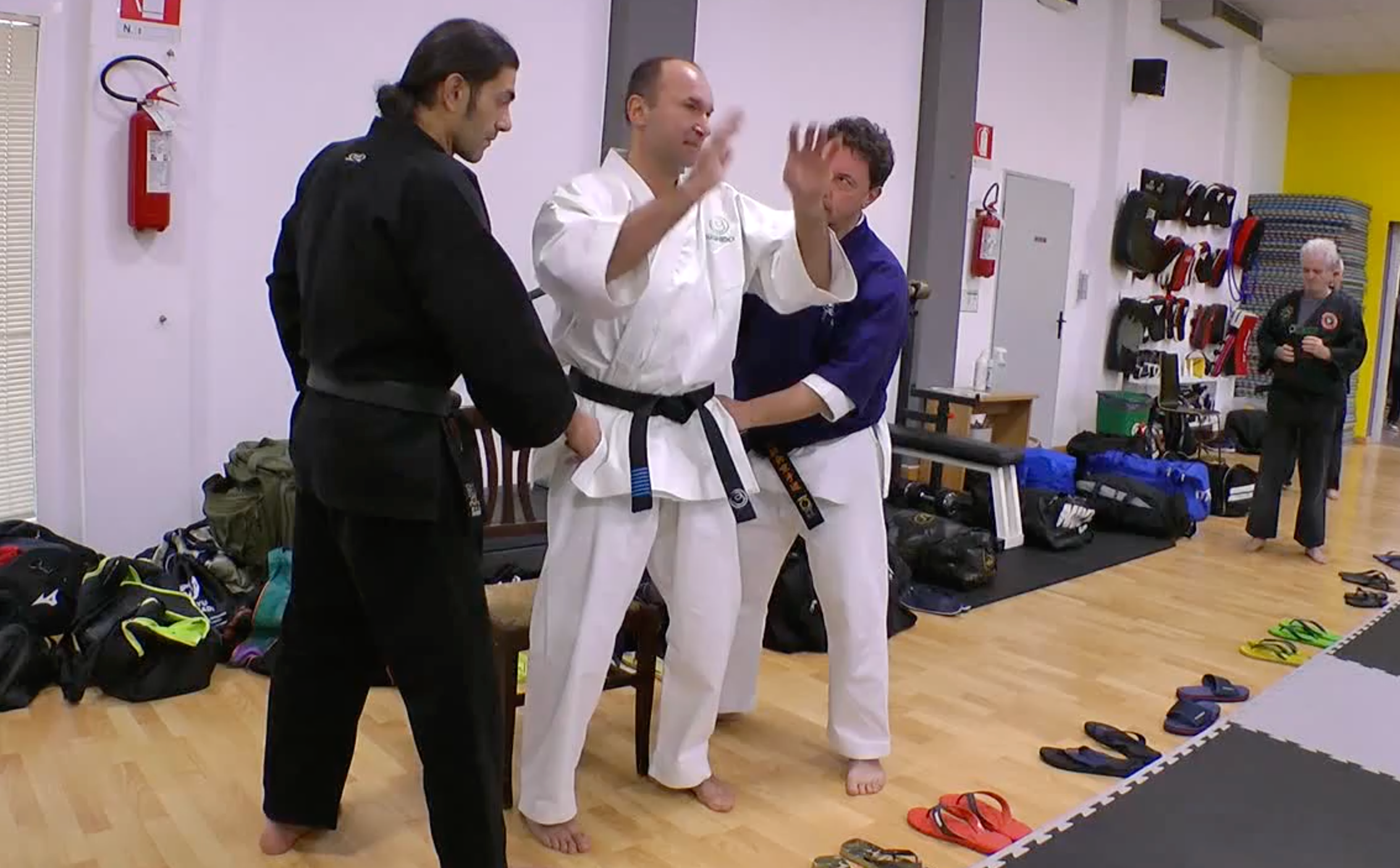 Become a Kyusho Instructor DVD 2 by Gianluca Frisan - Self-Defense Martial Arts Training for Home & Professional Use