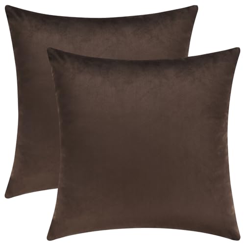 Coffee Brown