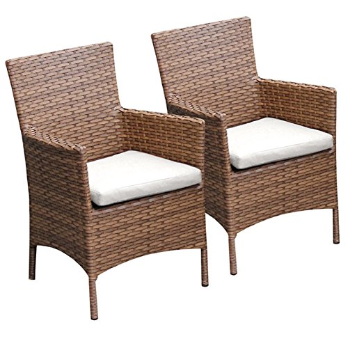 TK Classics Laguna Patio Dining Arm Chair in White (Set of 2) - Outdoor Furniture for Garden, Poolside, Deck, and Backyard Dining
