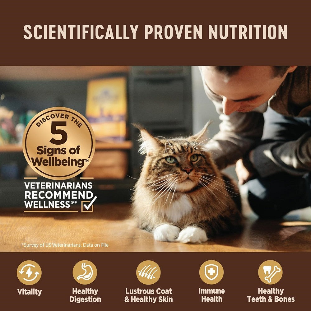 Premium CORE Pate Cat Food - Chicken, Turkey & Chicken Liver Recipe for Adult Cats - Grain-Free Wet Food for Healthy Digestion & Shiny Coat - Perfect for Picky Eaters & Daily Meals