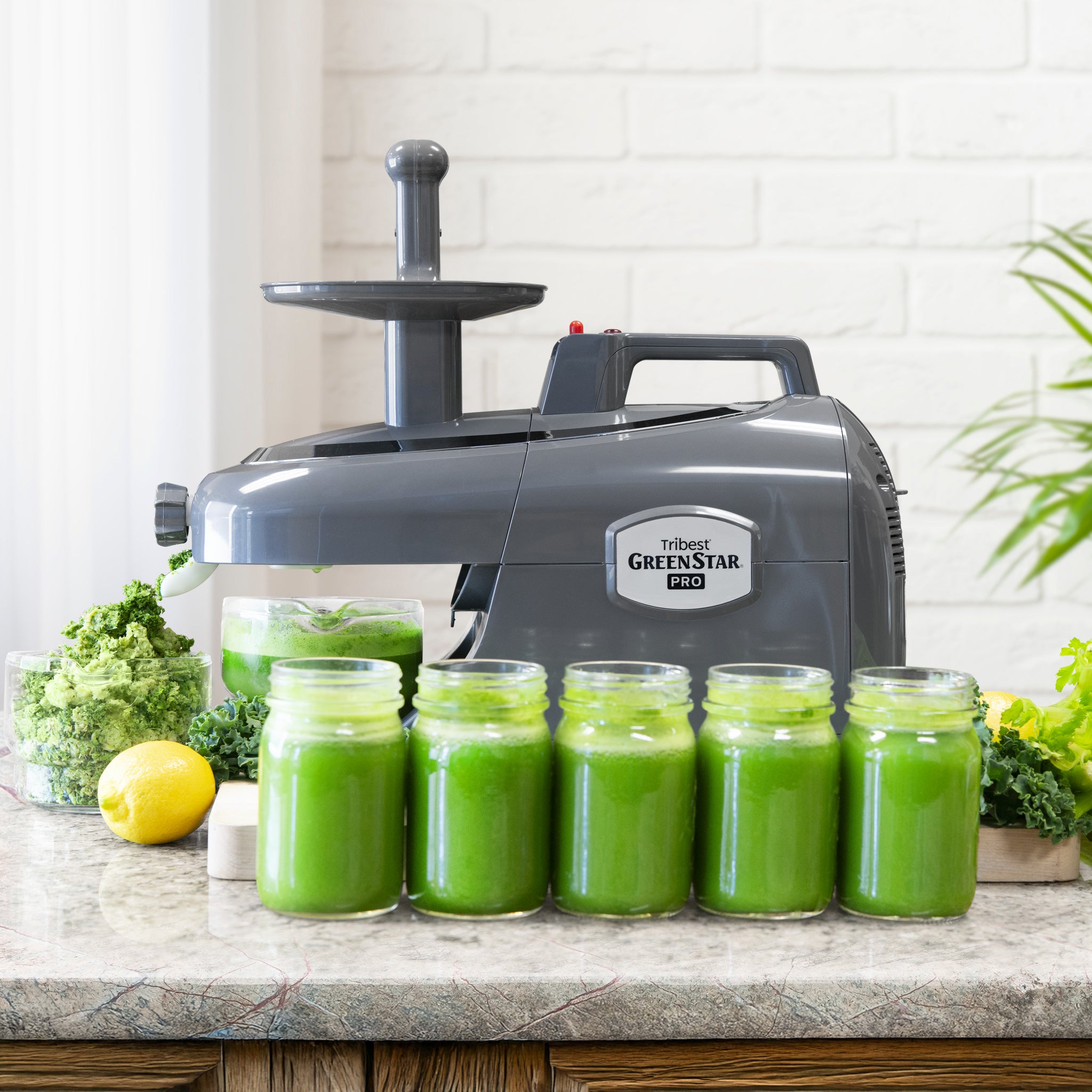 Greenstar® Pro All Stainless Steel Jumbo Twin Gear Commercial Slow Juicer - Cold Press Juicer for Fruits, Vegetables & Wheatgrass - Perfect for Juice Bars, Restaurants & Healthy Home Use