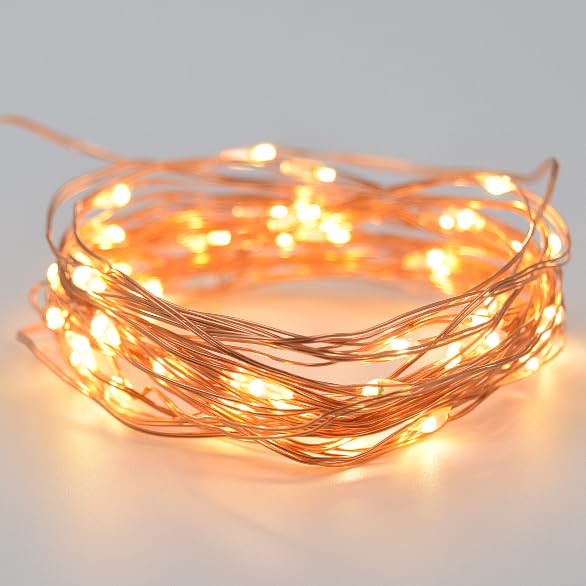 Hometown Evolution 16.5ft 50 LED Warm White Battery Operated Fairy Lights on Copper Wire - Waterproof Indoor Outdoor String Lights for Wedding, Party, Garden, Christmas Decorations