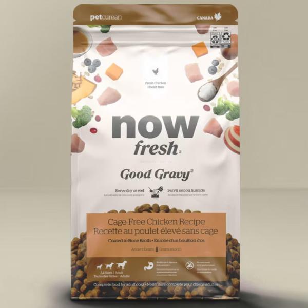 Now Fresh Grain-Free Adult Dry Dog Food - Chicken Recipe with Gravy | High Protein, Natural Ingredients for Healthy Digestion & Shiny Coat | Perfect for Active Dogs & Picky Eaters