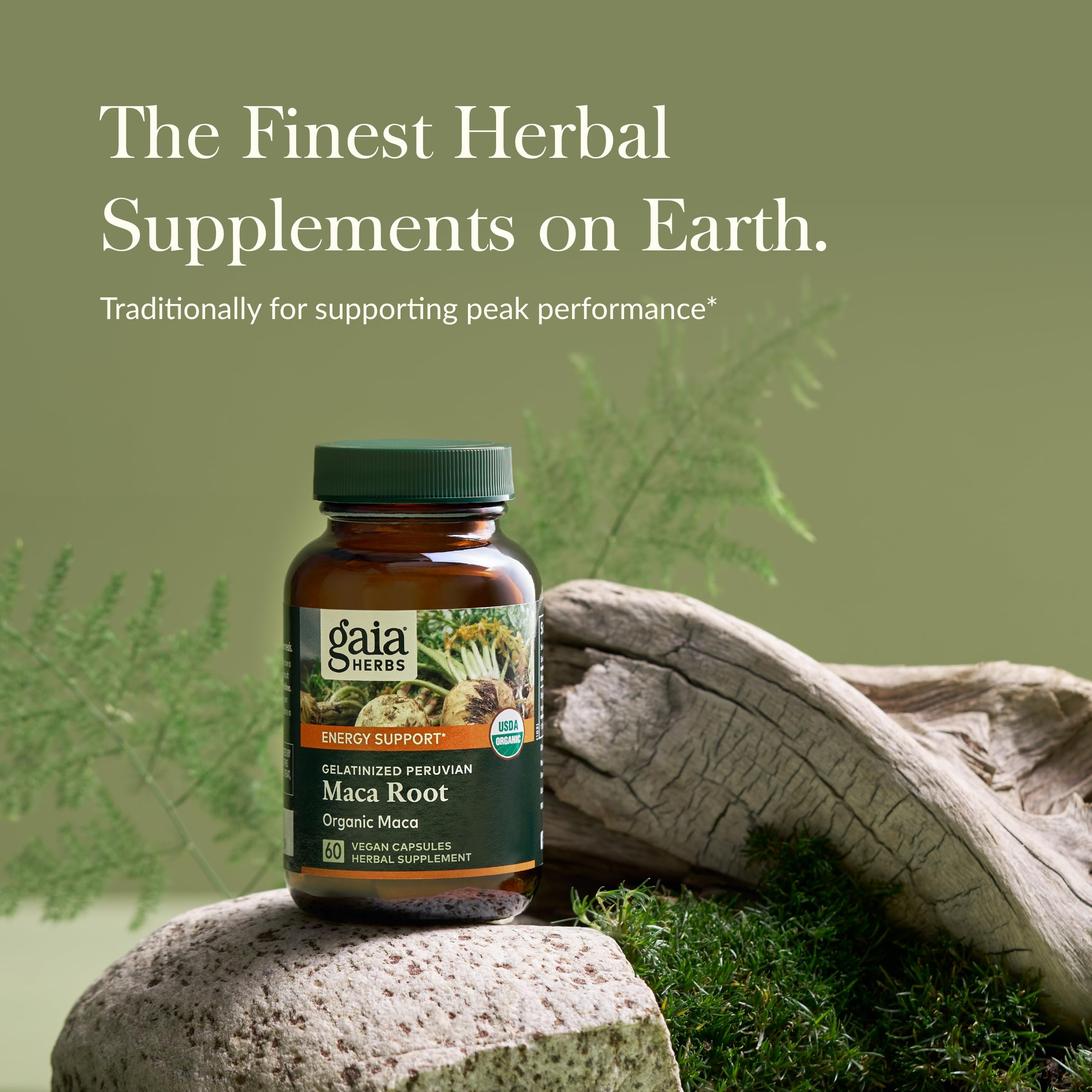Organic Maca Root Supplement for Natural Energy & Stamina - Gaia Herbs Caffeine-Free Vegan Capsules (60 Count, 30-Day Supply) - Supports Healthy Vitality, Endurance & Hormonal Balance - Perfect for Athletes, Busy Professionals & Active Lifestyles