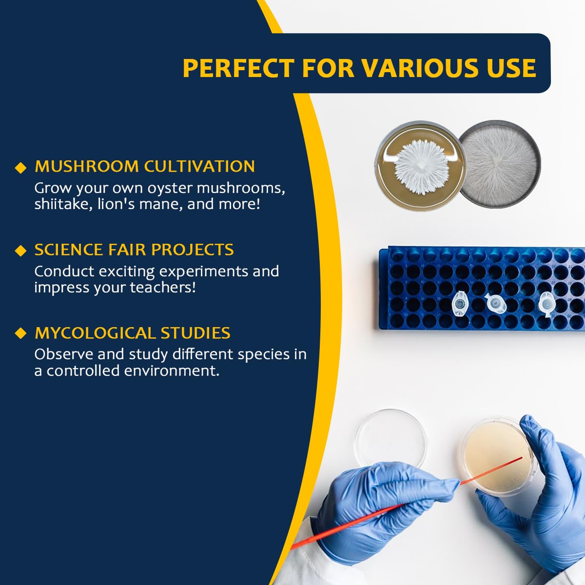 Premium Prepoured Malt Extract Agar (MEA) Petri Dishes for Mushroom Cultivation - 10 Sterile Agar Plates Ready to Use | Ideal for Mycology Labs, Home Growers & Science Experiments