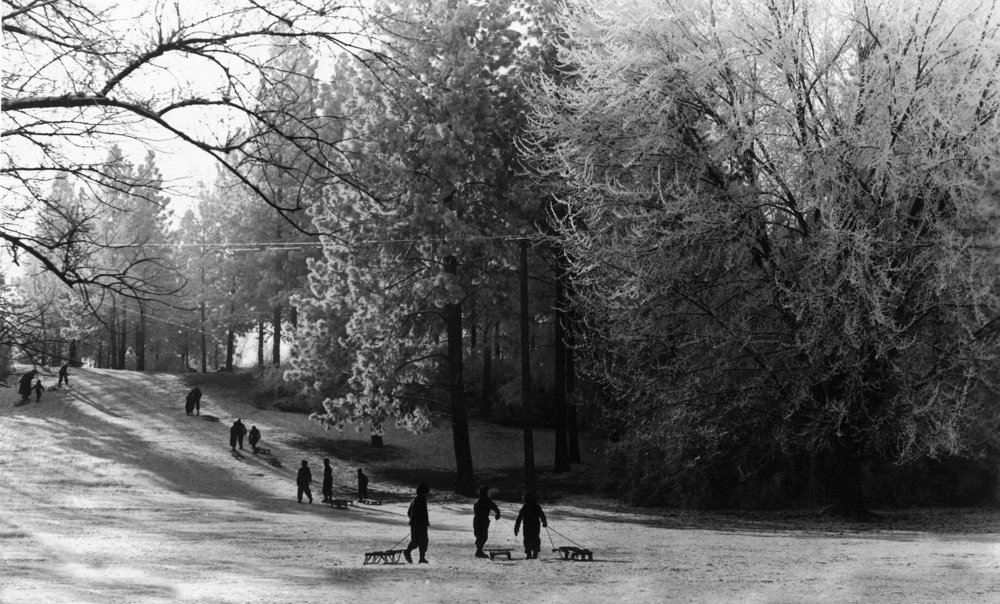 12x18 Winter View of Manito Park Spokane Washington - Landscape Wall Art Poster for Home & Office Decor - Perfect for Living Room, Bedroom or Gift