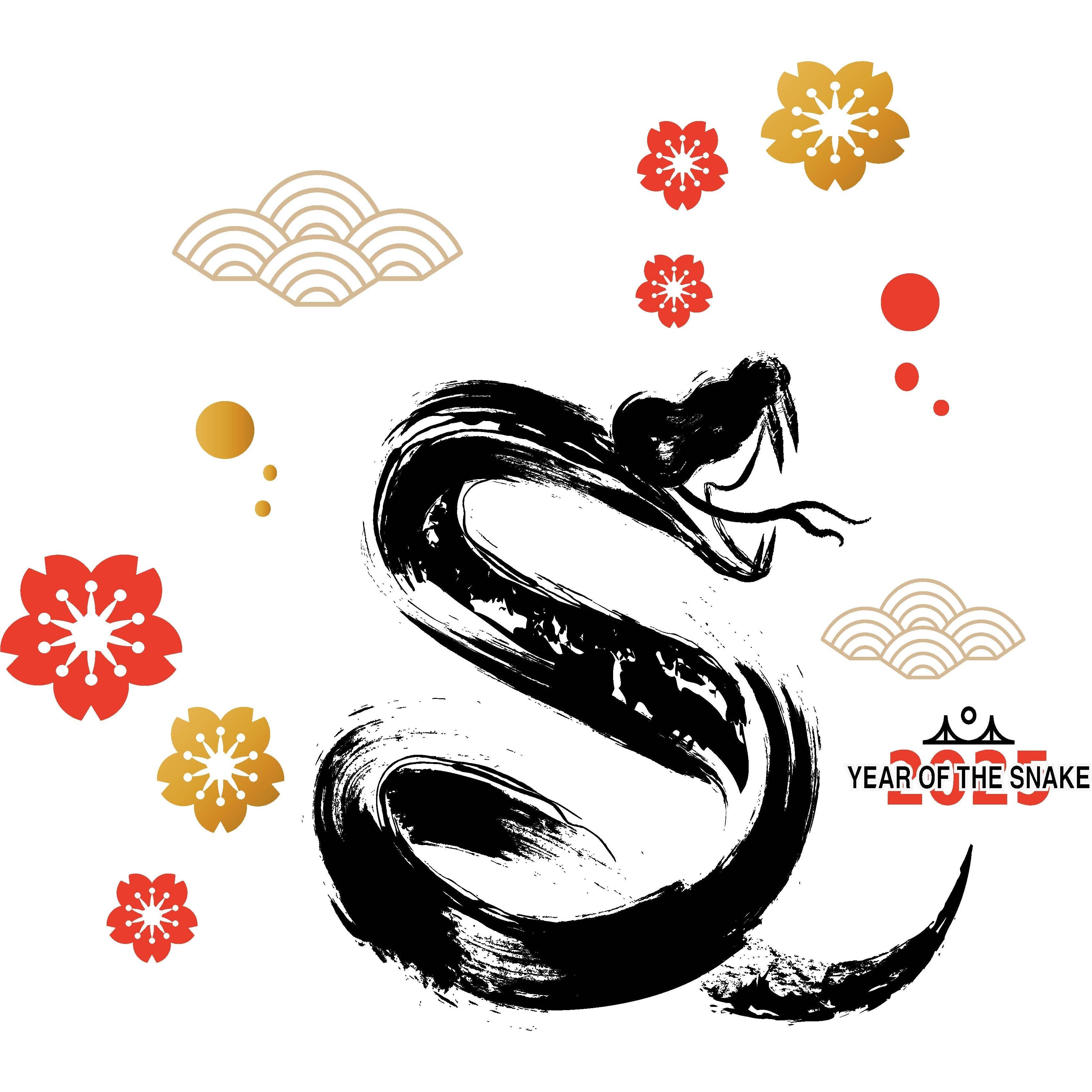 2025 Year of the Snake Limited Edition T-Shirt - 100% Cotton Charity Tee Supporting LA Fire Relief | Chinese Zodiac Gift, Casual Wear & Fundraising Apparel