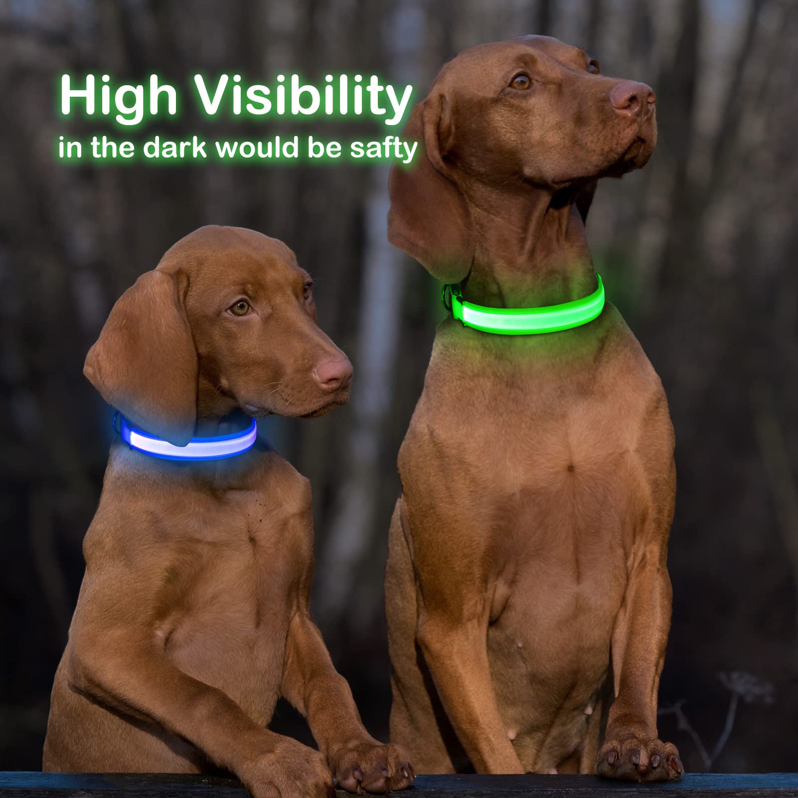 Weesiber Rechargeable LED Dog Collar with Adjustable Glow - Waterproof Light Up Collar for Small Dogs - Flashing Safety Light for Night Walking, Jogging & Outdoor Adventures (Blue, Small) - Perfect for Evening Walks, Camping & Visibility in Low Light