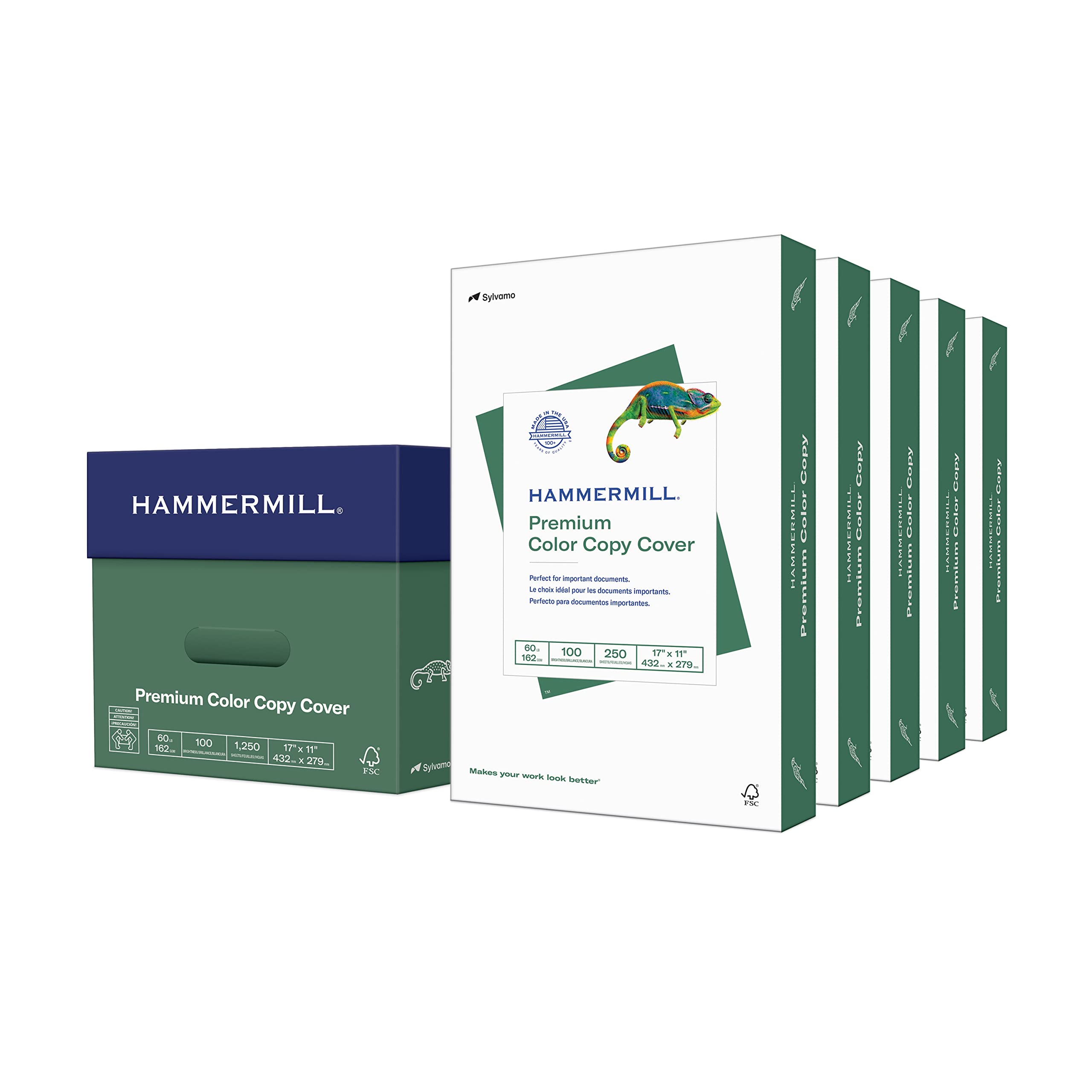 Premium Hammermill Cardstock 60 lb, 11x17 Inches - 5 Pack (1,250 Sheets) - 100 Bright White, Heavyweight Paper for Color Copying, Printing, Scrapbooking & Crafting - Made in USA (122556C)