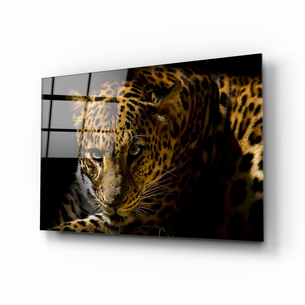 Leopard Print Fashion & Accessories for Women | Trendy Animal Print Clothing & Home Decor | Perfect for Parties, Halloween & Boho Style
