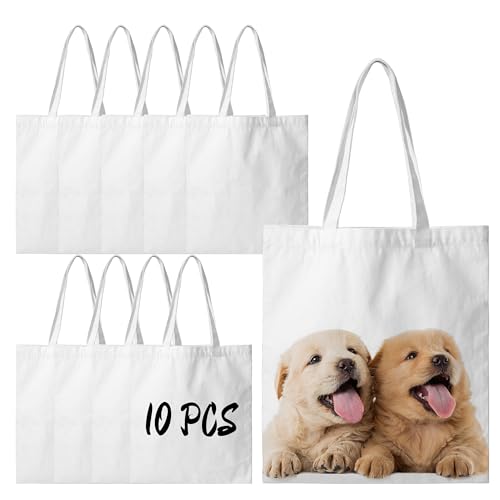 10 Pack White