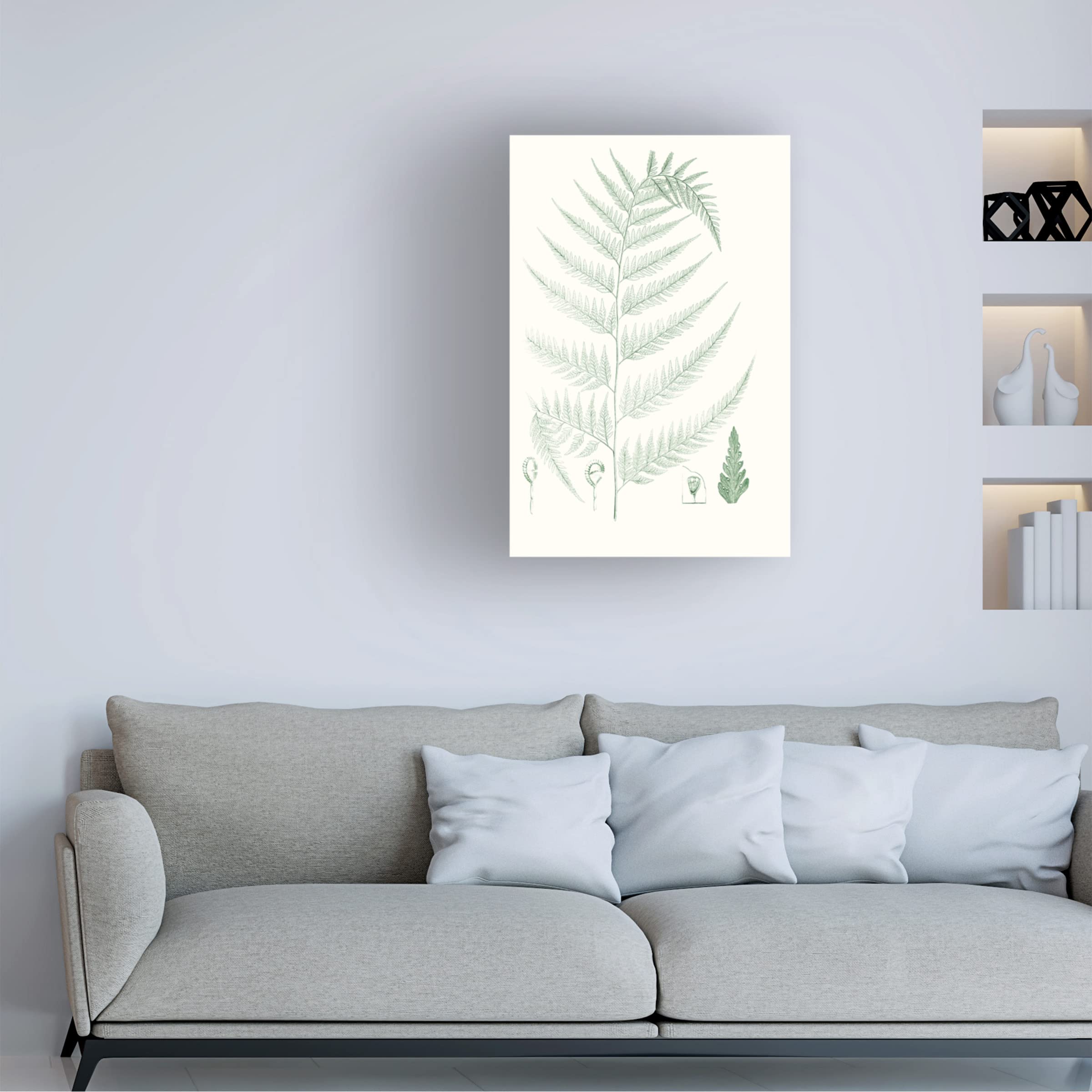 Trademark Fine Art 'Verdure Ferns III' Canvas Wall Art Print by Vision Studio - Nature Inspired Botanical Decor for Living Room, Bedroom & Office