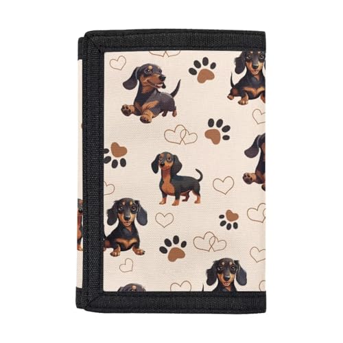 Dachshund