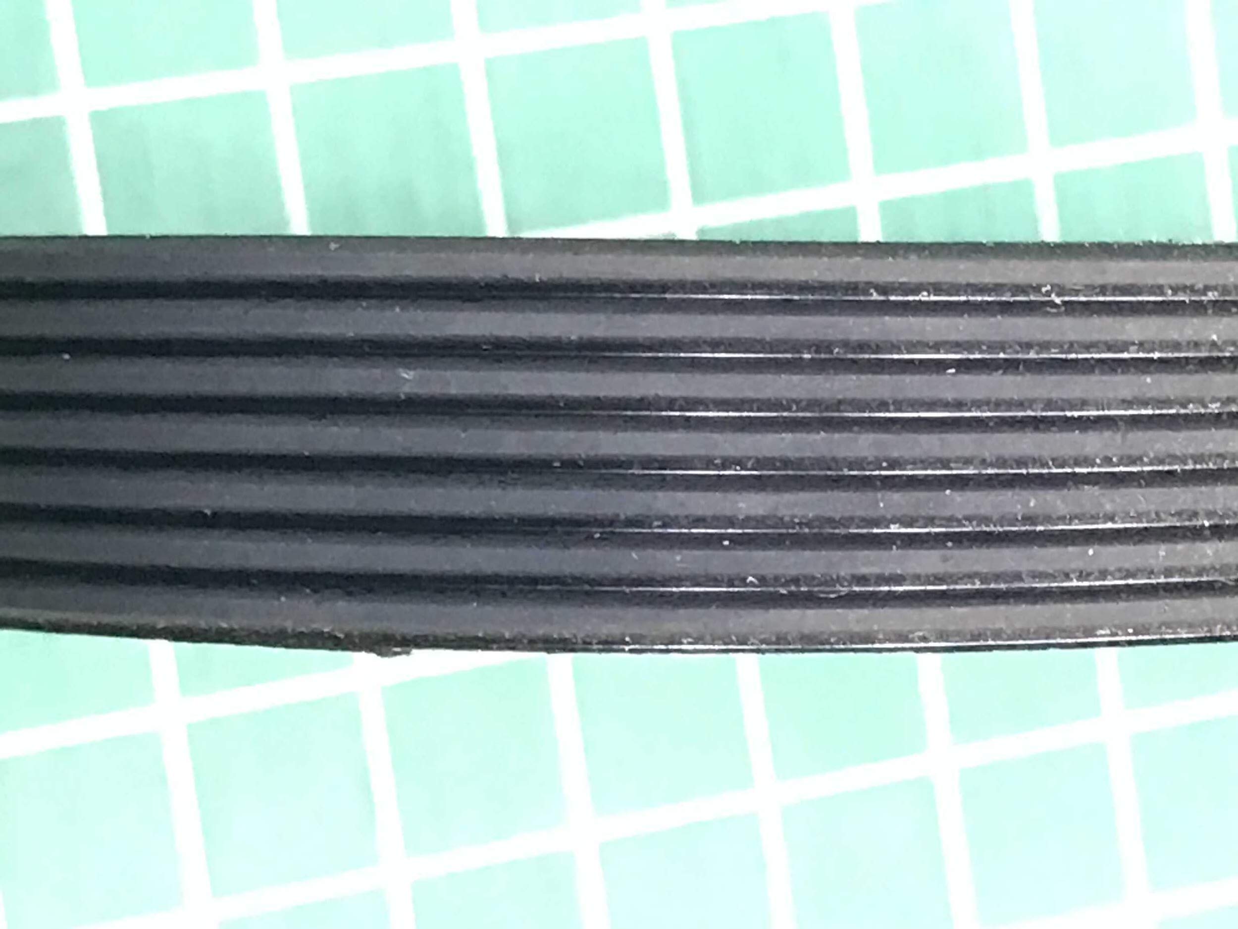 220J/PJ559 7-Rib Polyrib Treadmill Replacement Belt - Durable Rubber Conveyor Belt for Home & Commercial Gym Equipment - Perfect for NordicTrack, ProForm, Weslo Treadmills