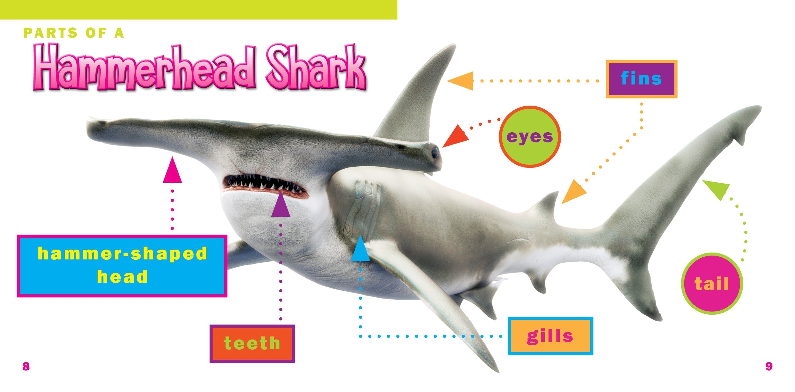 Hammerhead Shark Figurine - Realistic Ocean Animal Toy for Kids & Collectors | Perfect for Educational Play, Aquarium Decor & Gift Giving