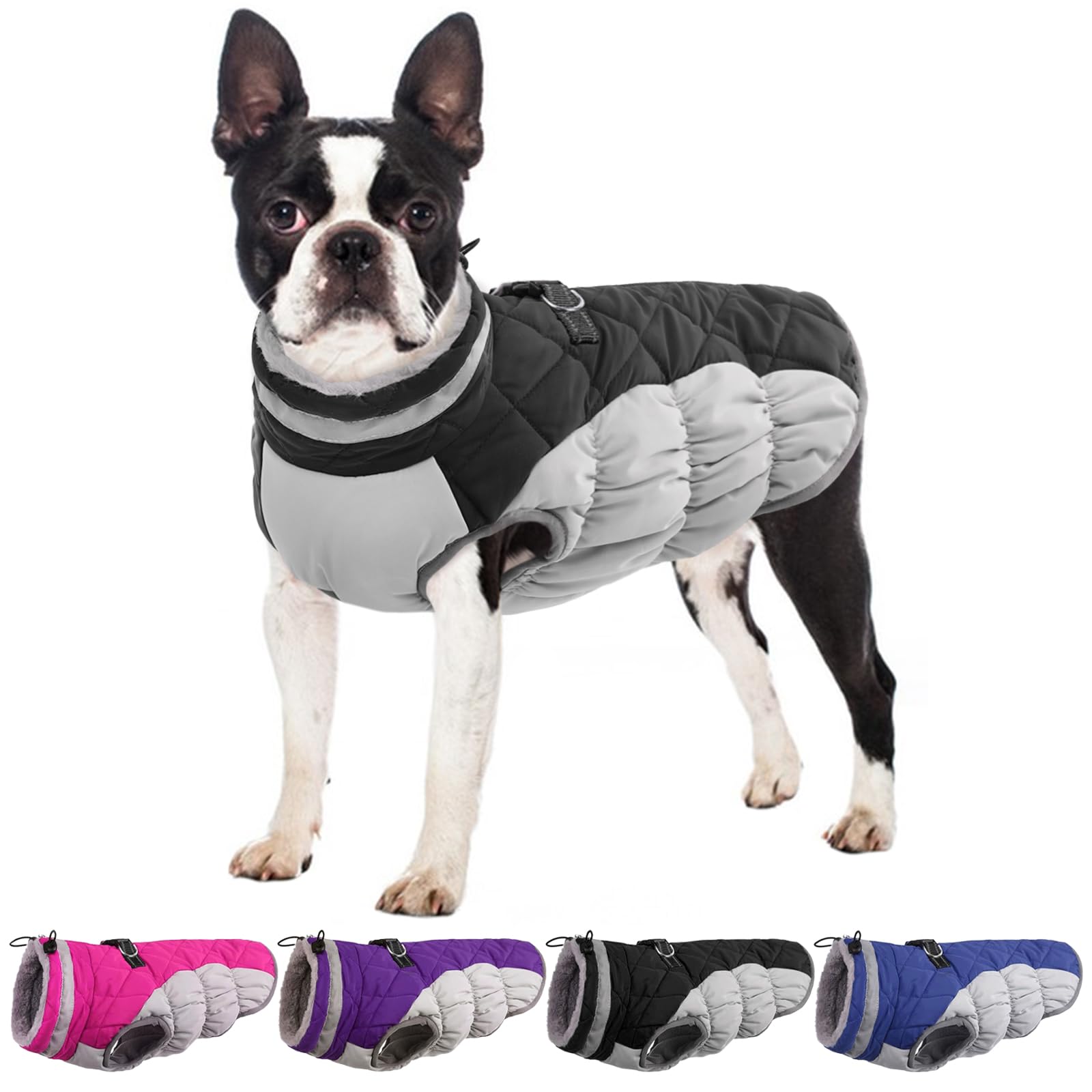 Waterproof Fleece-Lined Dog Winter Coat for Medium Dogs - Warm Zip-Up Jacket with D-Ring for Pug & Boston Terrier - Cold Weather & Snow Protection (Black, Size M) - Perfect for Winter Walks, Outdoor Adventures & Snow Play