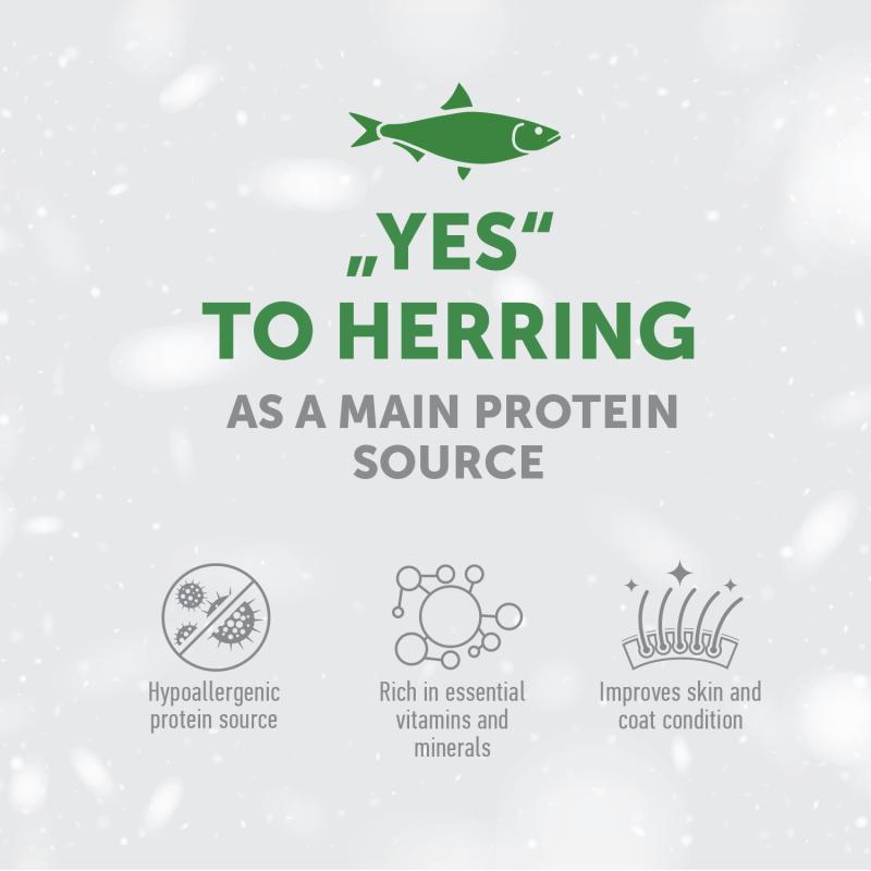 Weight Control Herring Dog Treats for Adult Dogs - Healthy Low-Calorie Snacks for Training & Rewards
