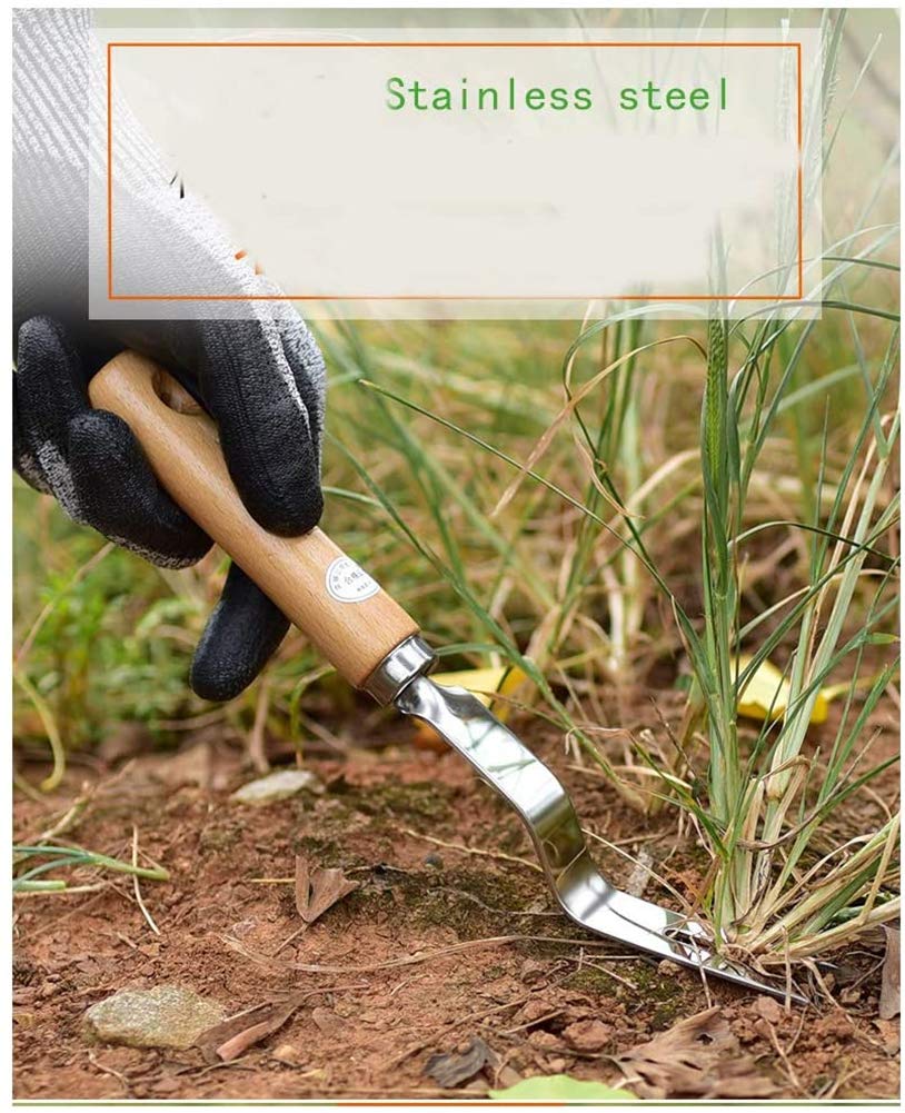 **Chiloskit 28cm Stainless Steel 304 Weeding Tool with Wooden Handle - Heavy Duty Weed Puller, Lawn & Garden Hook Knife for Efficient Weed Removal - Perfect for Yard Maintenance, Gardening & Landscaping**