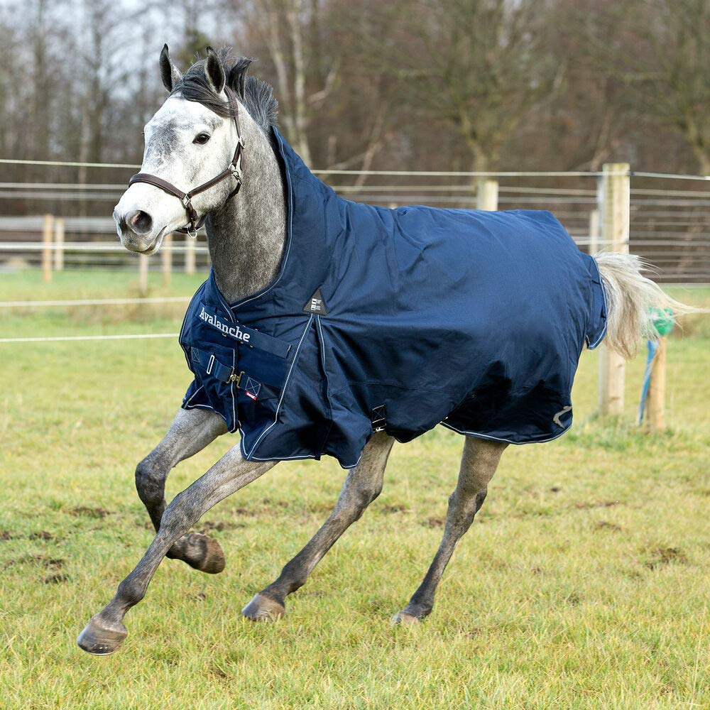 HORZE Avalanche 1200D Ripstop High Neck Medium Weight Waterproof Horse Turnout Blanket (150g Fill) - Peacoat Dark Blue - 75 inch - Ideal for Cold Weather Horse Riding and Stable Use