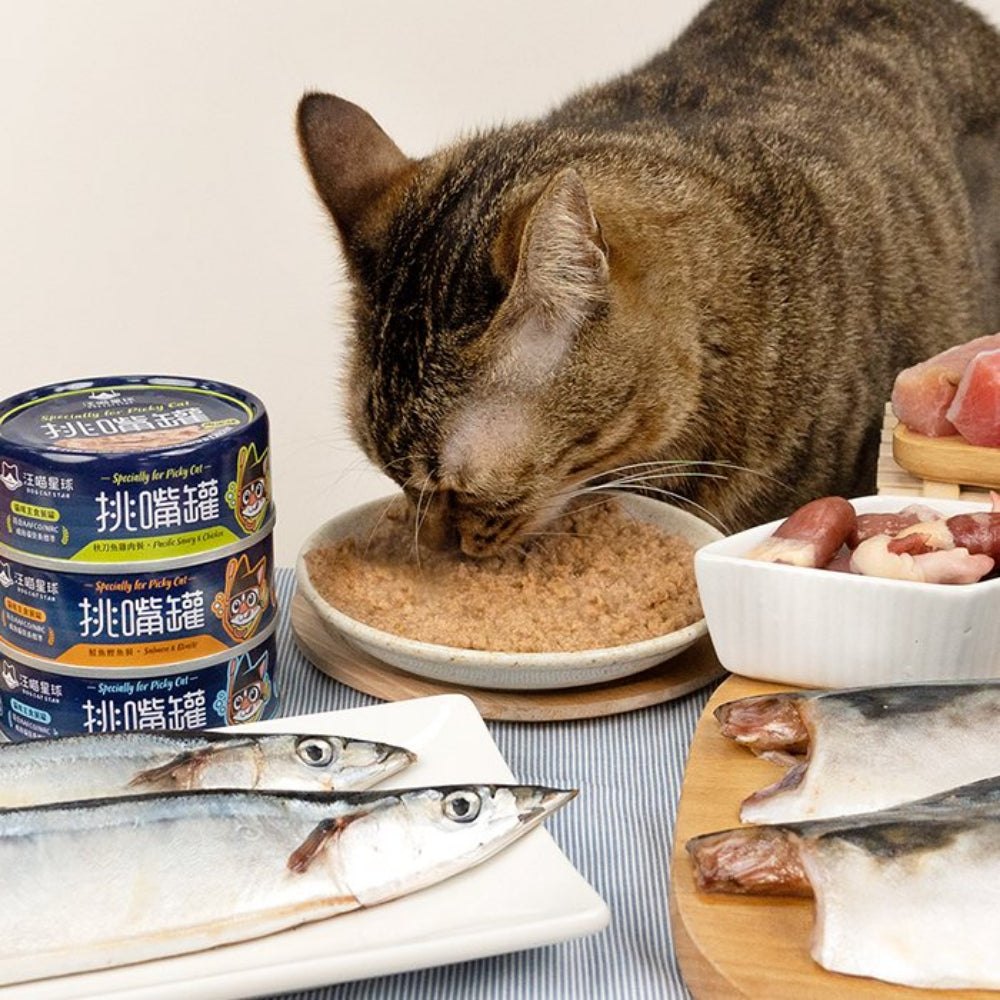 Premium Pacific Saury & Chicken Cat Food - Complete Balanced Nutrition for Picky Eaters - Perfect for Indoor Cats & Senior Felines