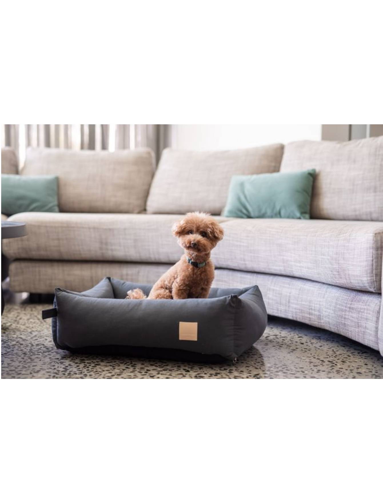 Fuzzyard Life Dog Bed Slate Grey - Orthopedic Pet Bed for Small, Medium & Large Dogs - Comfortable & Supportive for Sleeping, Lounging & Relaxing at Home