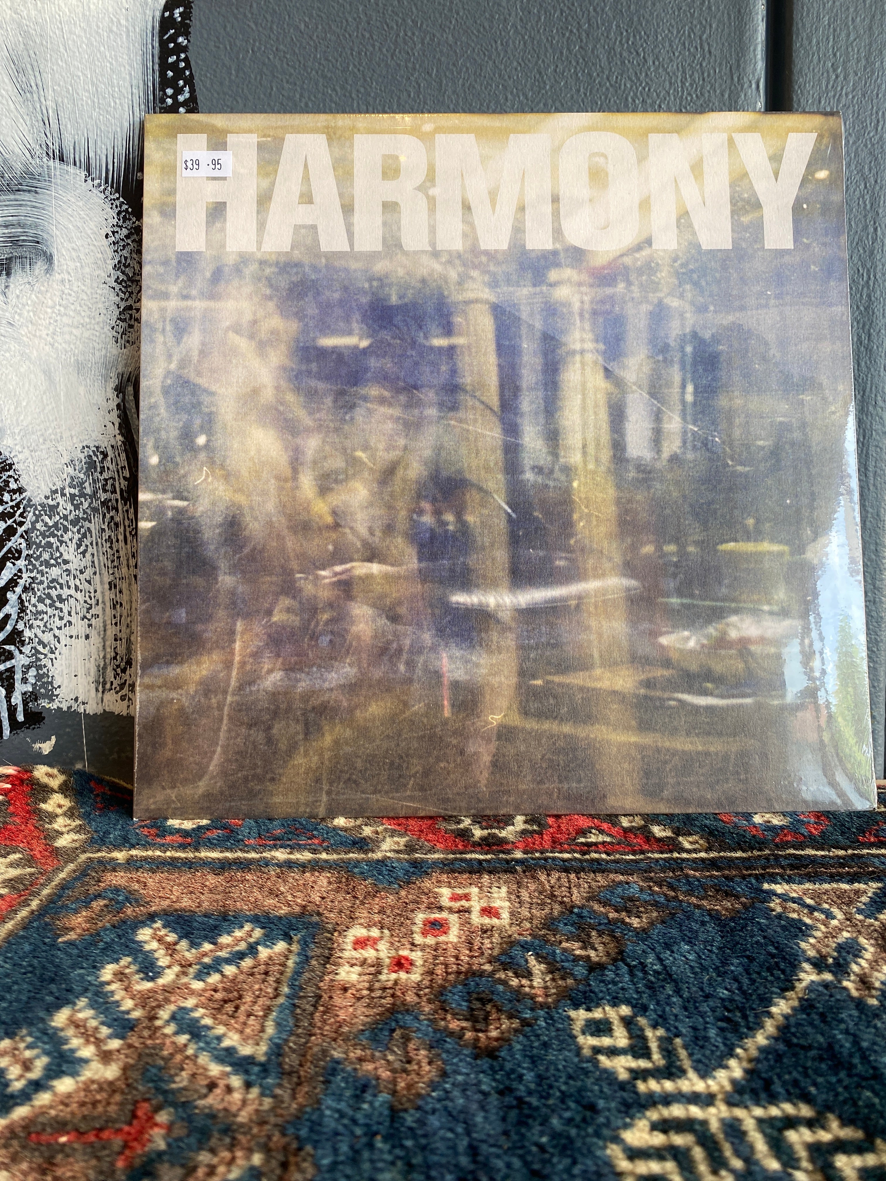 HARMONY 'Double Negative' LP Vinyl Record - Limited Edition Alternative Rock Music for Collectors & Audiophiles | Perfect for Home Listening, Gifts & Music Enthusiasts