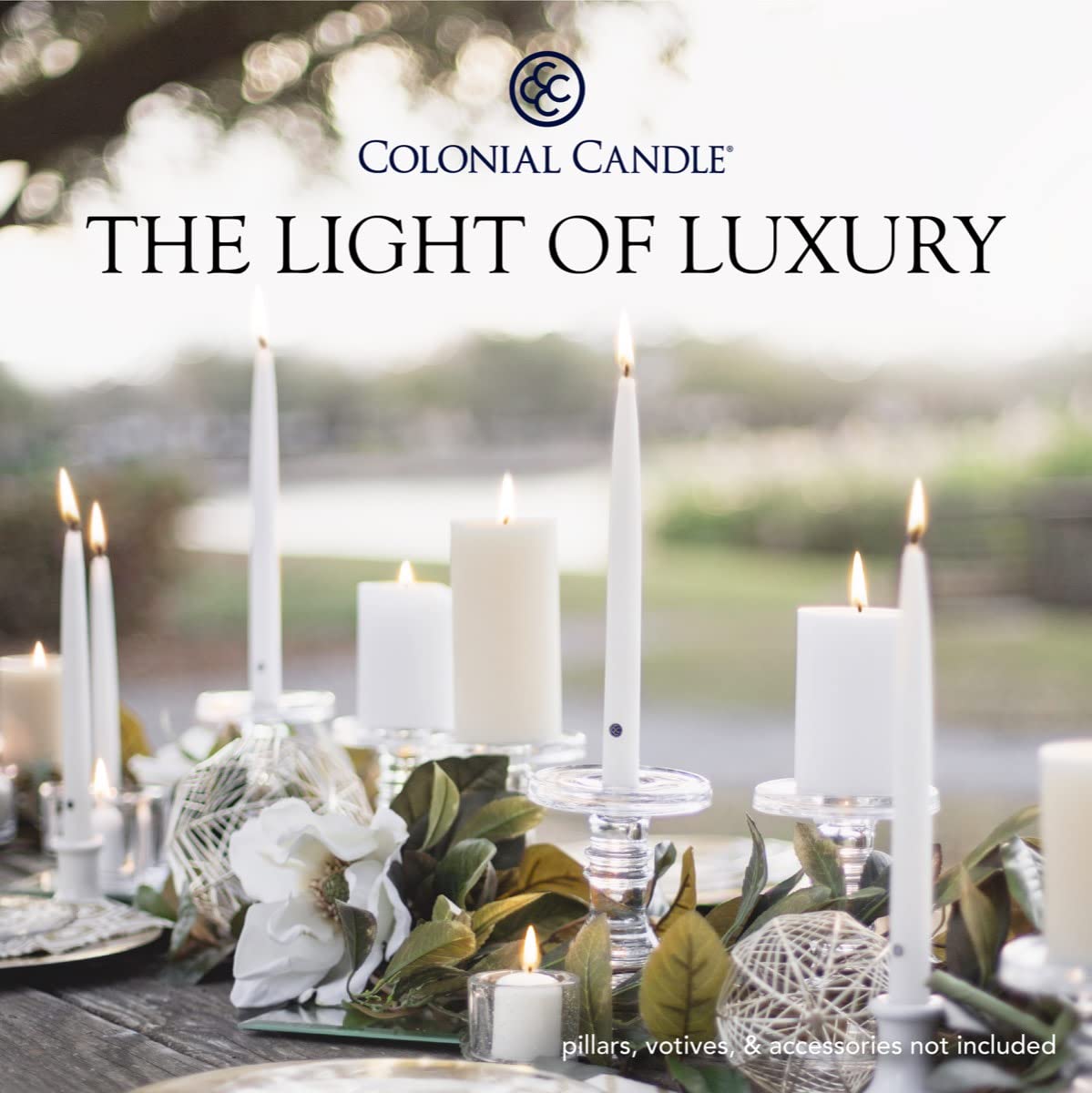 Colonial Candle Unscented Taper Candles - Classic Collection Evergreen 8-Inch (Pack of 12) | 6-Hour Burn Time | Perfect for Dining Tables, Holiday Decor & Romantic Ambiance