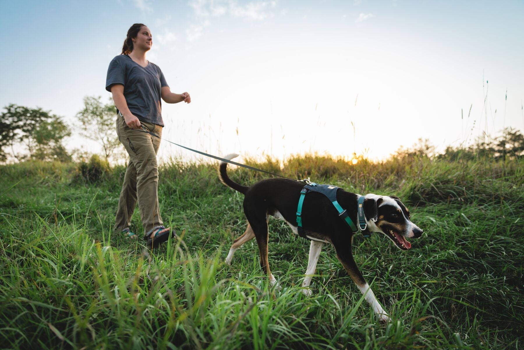 Ruffwear Hi & Light® Ultralight Dog Collar in Basalt Gray - Adjustable Reflective Pet Collar for Hiking, Camping & Night Walks