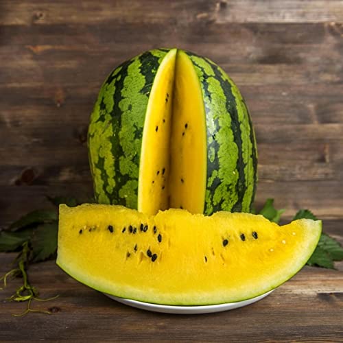 30+ Yellow Flesh Doll Babies Desert King Watermelon Seeds (Not Seedless) - Sweet Juicy Melon for Home Gardening, Farmers Market & Fresh Fruit Snacking