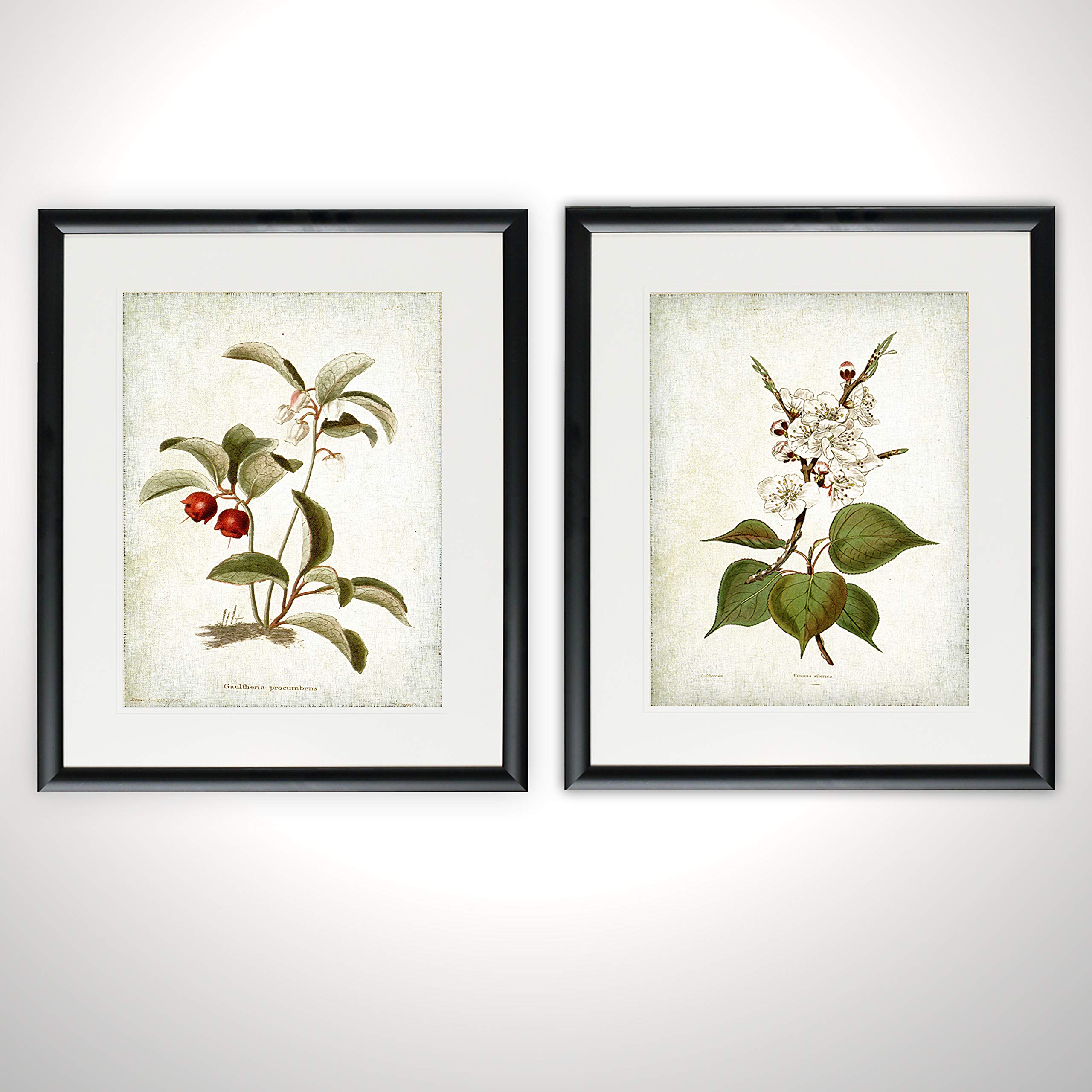 Vintage Botanical Sketch IV 2-Piece Wall Art Set - Floral Home Decor for Living Room, Bedroom & Office - Wexford Home Collection